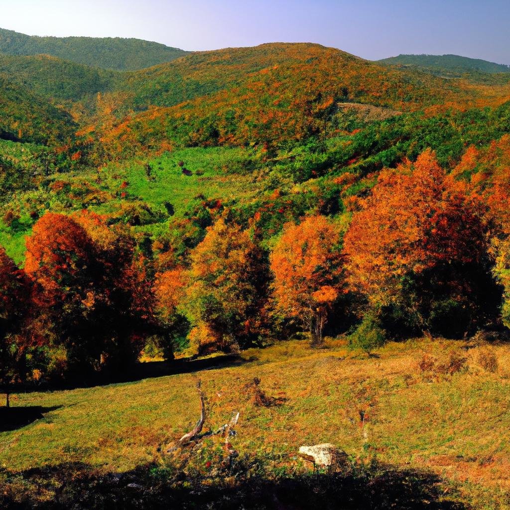 Prevederi pentru asigurarea continuității serviciilor de utilități în condiții de vânt puternic