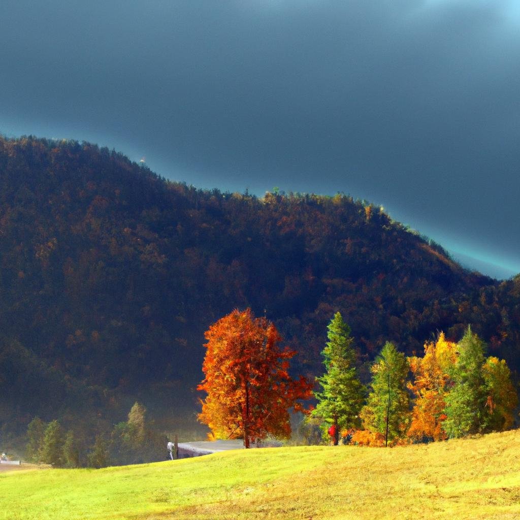 Cod roșu de vânt puternic în zona montană a județului Alba Impact și riscuri imediate pentru localnici