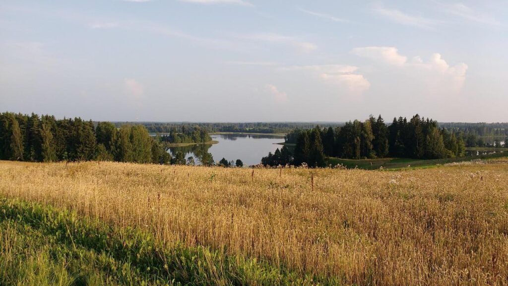 Letonia interzice cărțile, ziarele și jocurile video din Rusia și Belarus