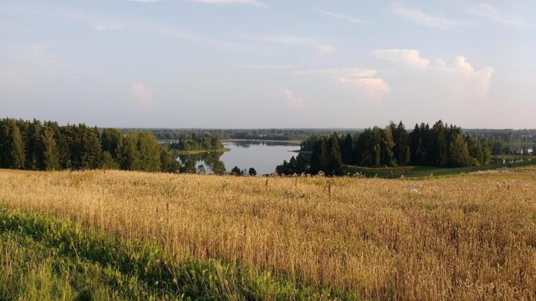 Letonia interzice cărțile, ziarele și jocurile video din Rusia și Belarus